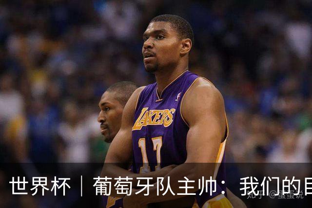 世界杯｜葡萄牙队主帅：我们的目标是打满八场比赛