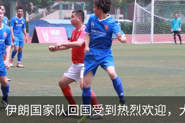 伊朗国家队回国受到热烈欢迎，大批球迷接机